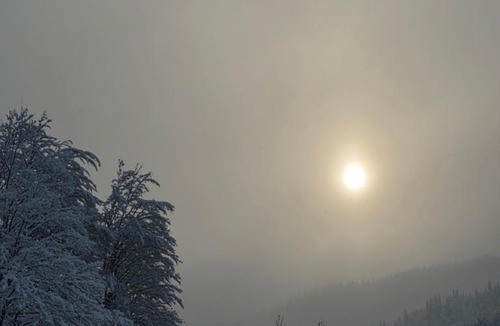 Kolasin Municipality Cabin | Lekic B&B
