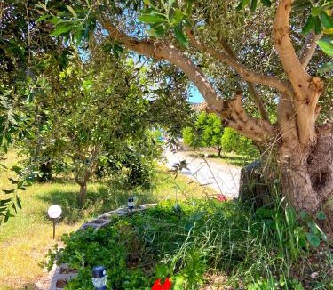 Preveza House | Lemon Loft