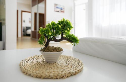 Susanj Apartment | Lemon Villa