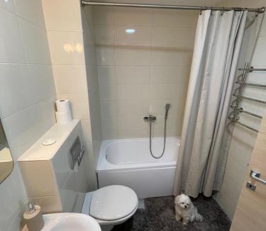 Becici Apartment | Listik Apartments