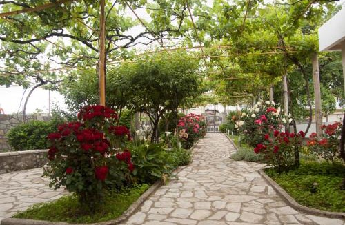 Radovici Apartment | Little Nautilus