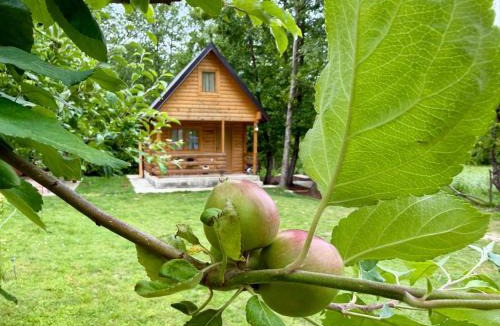 Virpazar Apartment | Little Paradise
