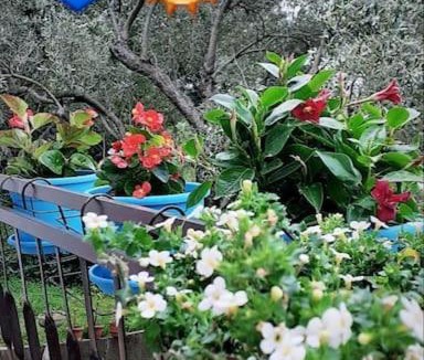 Sutomore Apartment | Ljupki apartman