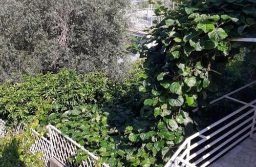 Sutomore Apartment | Ljupki apartman