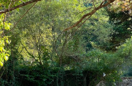 Llogara National Park Cabin | Llogara Wood Lodge