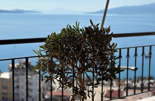 Sarande Apartment | Lost At Sea