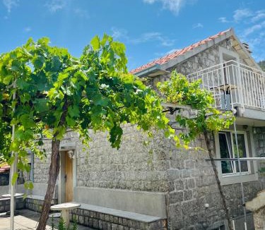 Lustica Apartment | Luštica Old House