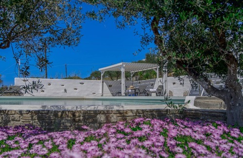 Nea Cryssi Akti Villa | Majestic Paros Villa | Villa Olive Grove | 3 Bedrooms | Private