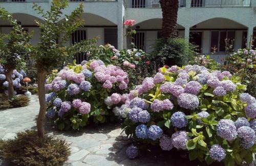 Preveza Apartment | Margarita Apartments