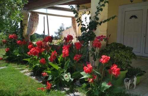 Magoulades Apartment | Margarita's Home Magoulades Corfu