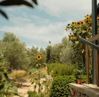 Ulcinj House | Mawa Cottage