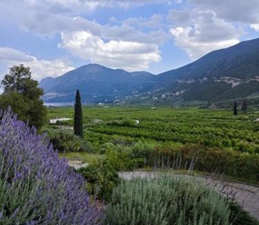 Palaia Epidavros Apartment | Melissafarm Guest House