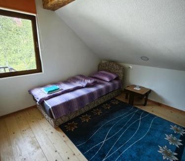 Mojkovac House | Mini Garden