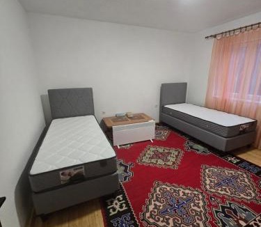 Ninkovici Apartment | Mirina village house