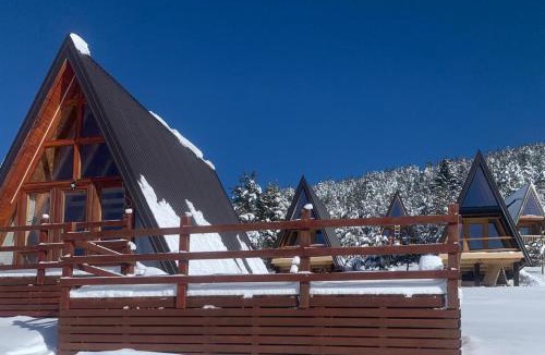 Ninkovici Ski Chalet | Monte Zen