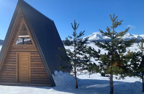 Ninkovici Ski Chalet | Monte Zen