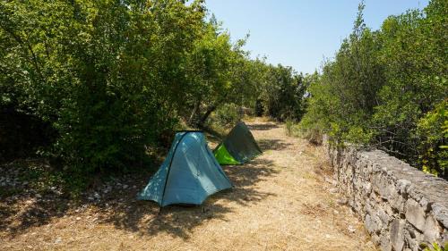Bar Other | Montenegro Tower - sleep in a tent
