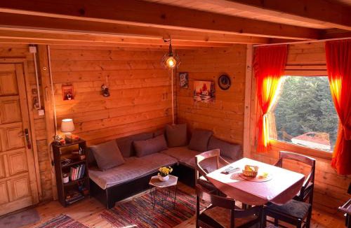 Montenegro House | Mountain cottage Hajdi