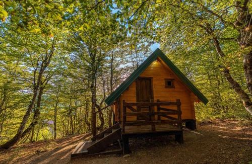 Montenegro Cabin | Mountain Tree House Komovi-Radunovic