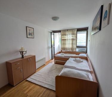 Pluzine Apartment | NiceOneLakeView