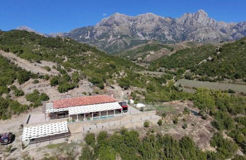 Jala House | Oda Tozaj