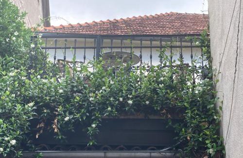 Risan Apartment | Old Risan Apartment