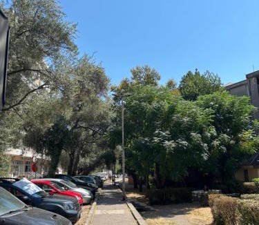 Golubovina Apartment | Oliva Apartment