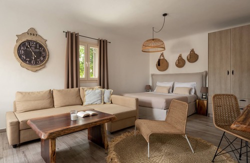 Ano Mera Hotel | Olive Mykonos Villas - Junior Villa