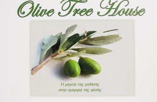 Voia House | Olive Tree House I