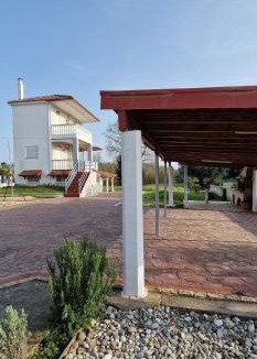 Zalongo Apartment | Olive Tree Villa