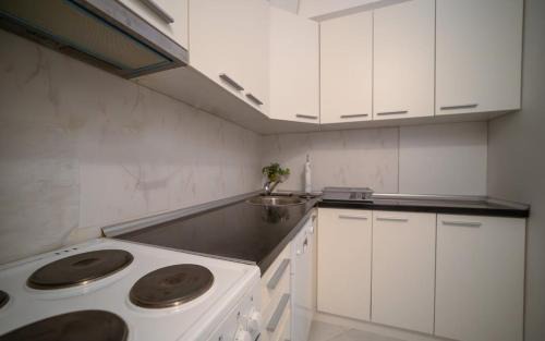 Rafajlovici Apartment | Olive View apartment