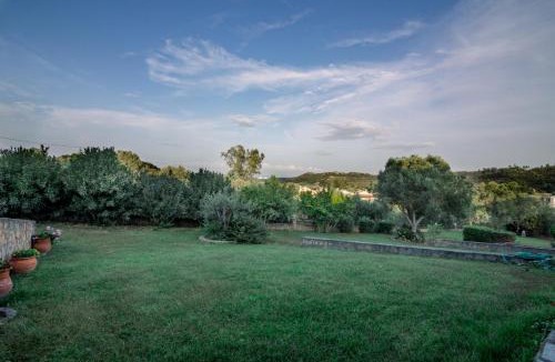 Haniotis House | Olives Residence