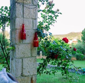 Haniotis House | Olives Residence