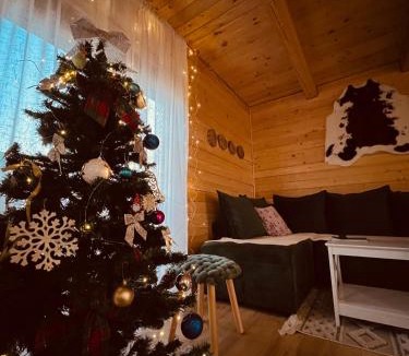 Zabljak Villa | Omega Žabljak