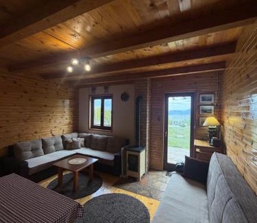 Razvrsje House | Orange House in nature