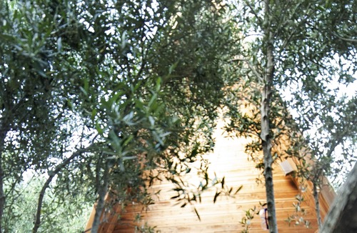 Agios Kirykos Ski Chalet | Orion Chalet - Captain Ikaros