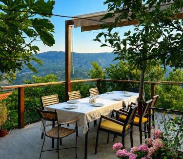 Pricelje House | Ostrog Wood House