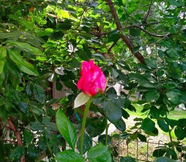 Skala Kallirachis House | Our parent's house. Family house for rent