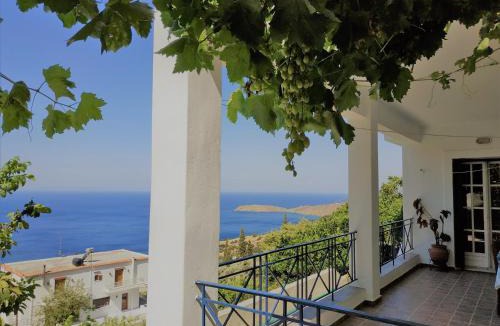 Andros Apartment | Palaiopoli View Studios