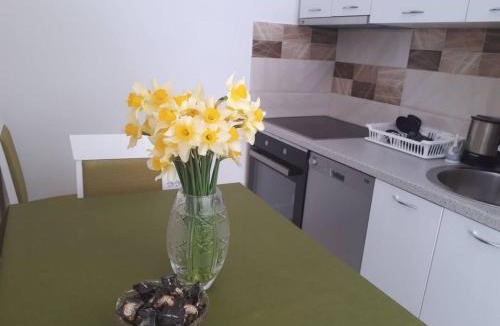 Dobrota Apartment | PARADISE Apartments