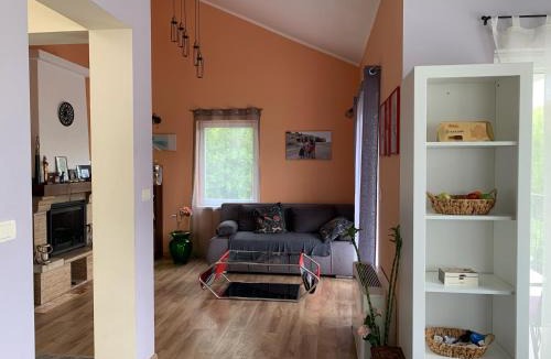 Radovici House | Patrick House