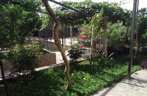 Dobra Voda House | Peacefully quiet place.