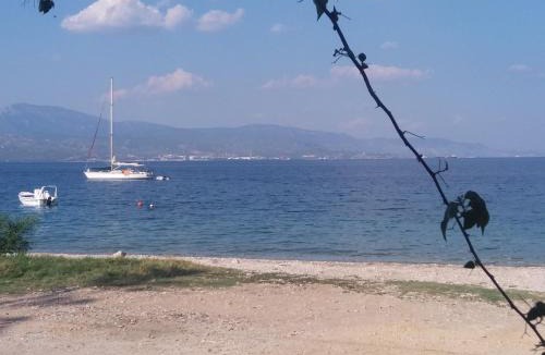 Loutra Oraias Elenis House | Per Mare beachfront studio