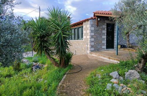 Itilo House | Petra & Elia