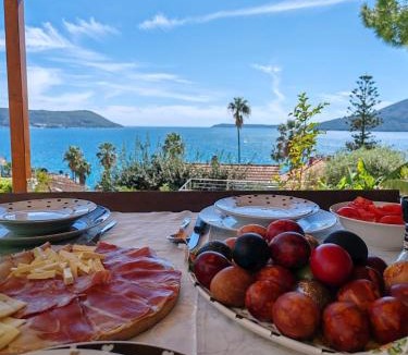 Herceg Novi Apartment | Petrovic house