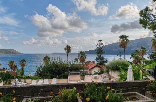 Herceg Novi Apartment | Petrovic house