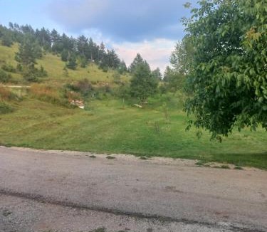 Zabljak Apartment | Petrovica