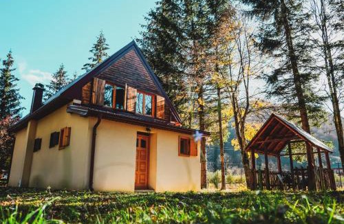 Kolasin Municipality House | Pineview House