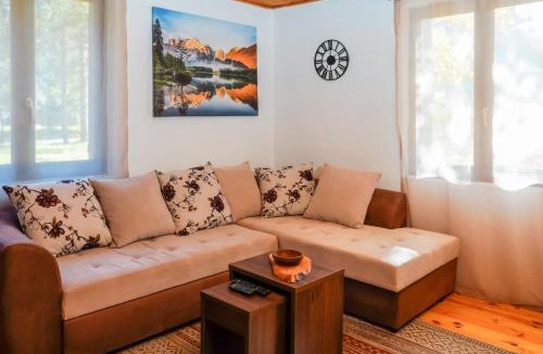 Kolasin Municipality House | Pineview House