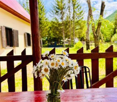 Kolasin Municipality House | Pineview House